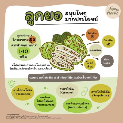 Noni, a very useful herb