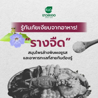 Beware of Hidden Toxins in Food! "Thunbergia laurifolia L."  The Detox Herb Every Food Lover Should Know