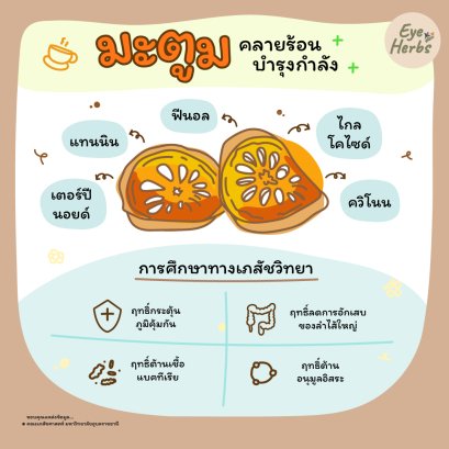 Bael relieves heat and nourishes energy