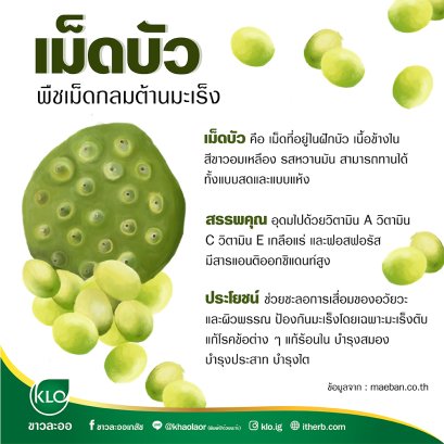 Lotus seed, anti-cancer plant