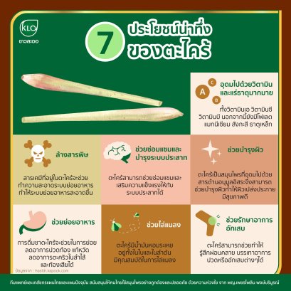  7ประโยชน์น่าทึ่งของตะไคร้