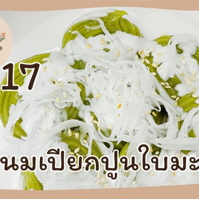 EyeHerb Ep. 17 Moringa leaf rhombic