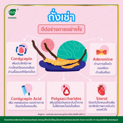 How is cordyceps good for the body?