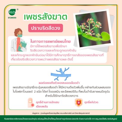 Cissus quadrangularis and hemorrhoids