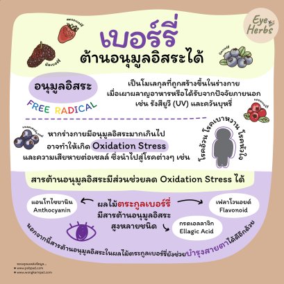 Berries are antioxidants.