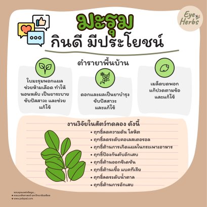 Moringa eat well, be useful