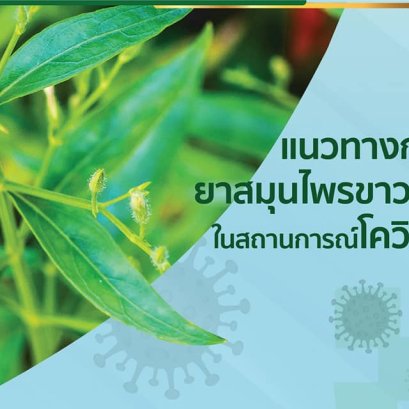 Guidelines for using herbal medicine Khaola-or in the situation of COVID-19