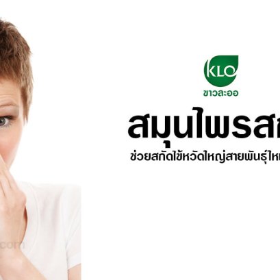 Herbal extracts help extract the new flu strain 2009