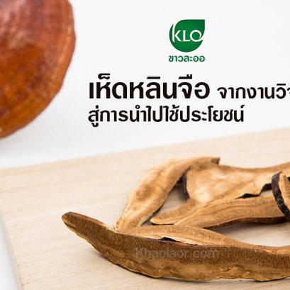 Ganoderma lucidum from research to its use