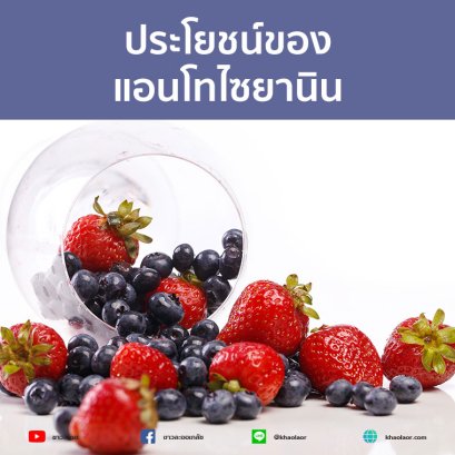 Anthocyanin benefits