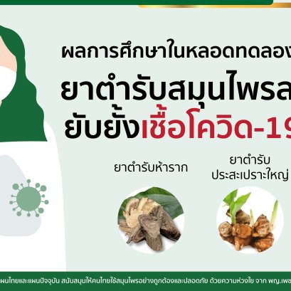 results of in vitro studies herbal medicine to reduce fever Can stop the spread of COVID-19