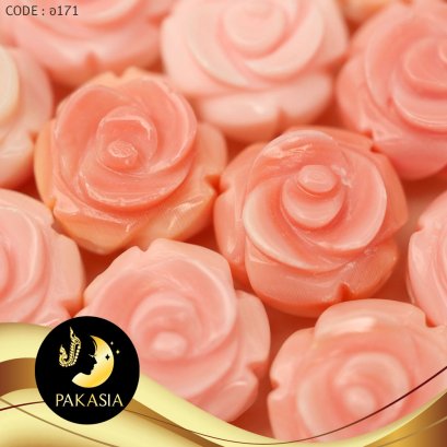 เปลือกหอยสังข์ 12 mm.