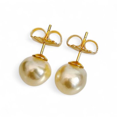 Approx. 10.0 mm, Gold South Sea Pearl, Stud Earrings