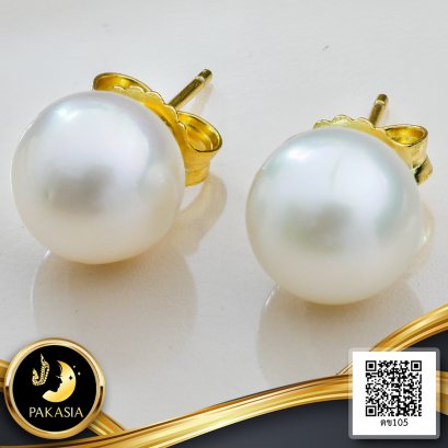 (เปิดขายเฉพาะใน Live) ต่างหู Stud ติดหูมุกเม็ดเดี่ยวไข่มุก South Sea สายพันธุ์น้ำเค็มคัดเกรด สีขาว ทรงเกือบกลม-กลม ขนาด 8.0-9.0 mm เกรด A Luster ดีเยี่ยม ตัวเรือนก้านต่างหูแบบ Stud ทับหลัง Butterfly เงินแท้ 925 ชุบสีทอง / 30.1.65