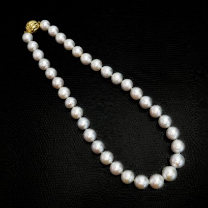 11.06-14.86 mm, White South Sea Pearl, Graduated Pearl Necklace