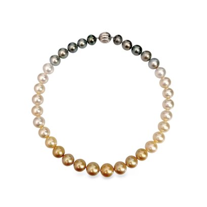 11.71 - 13.97 mm, Shikisia, Oriental Odyssey and Shy Guy Lot, Ombre Graduated Pearl Necklace