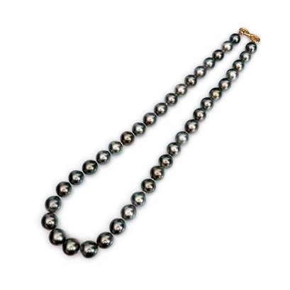 (PSL) Approx. 9.0 -12.4 mm, Aurora Peacock, Graduated Pearl Necklace