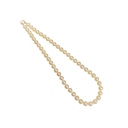 8.4 - 8.8 mm, Moonlight Lot, Akoya Pearl, Uniform Pearl Necklace
