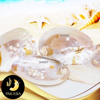 เปลือกหอยมุก (Mother of Pearl) มีให้เลือก 2 ขนาดคือ Size S และ Size M ใช้เป็นวัตถุดิบในการทำเครื่องประดับ หรือตกแต่งสถานที่