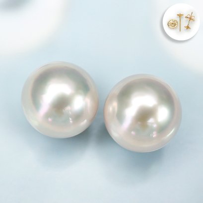 (PSL) Approx. 8.1 mm, Aurora Hanadama, Akoya Pearl, Stud Pearl Earrings