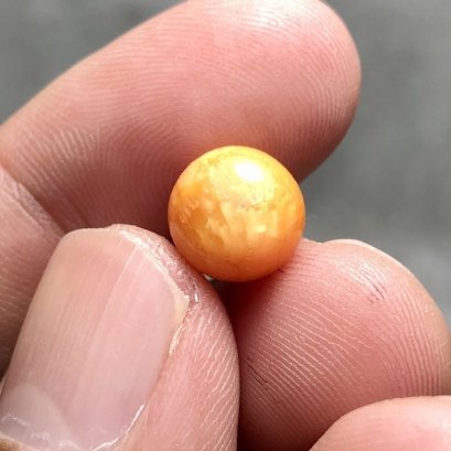 (GIT) Approx. 9.8x9.6x7.6 mm, Melo Pearl, Single Loose Pearl