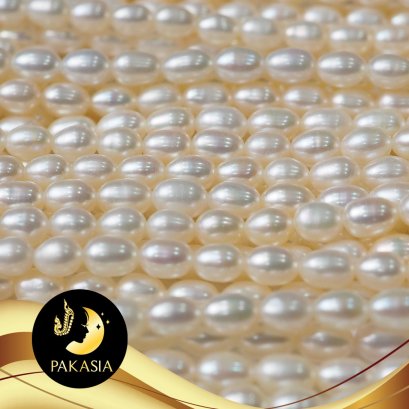 มุกเส้น น้ำจืดทรงไข่ขาว 4-5mm. AAA / SN0111YS161045