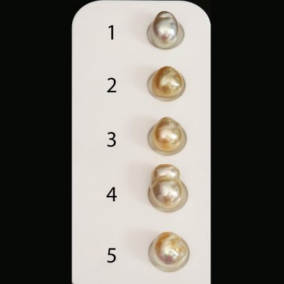Approx. 9.0 mm, Gold South Sea Pearl, Single Loose Pearl