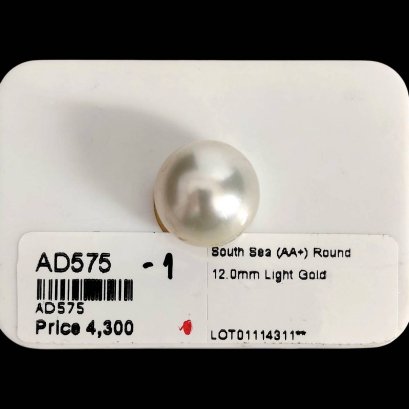 Approx. 12.0 mm, Shy Guy Lot, Gold South Sea Pearl, Single Loose Pearl