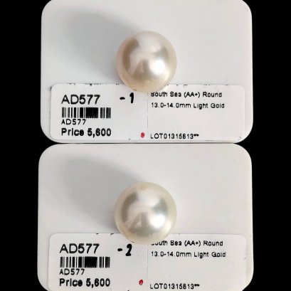 Approx. 13.0 - 14.0 mm, Shy Guy Lot, Gold South Sea Pearl, Single Loose Pearl