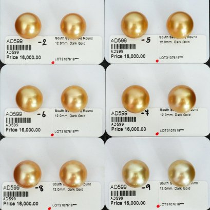 Approx. 12.0 mm, Oriental Odyssey Lot, Gold South Sea Pearl, Pair Pearl