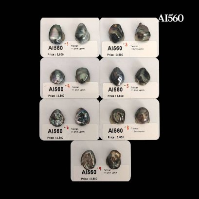 Approx. 11.0 mm up, Keshi Tahitian Pearl, Pair Pearl