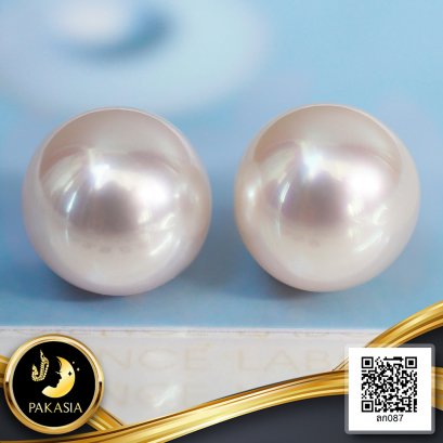 (PSL) ผลิตภัณฑ์ไข่มุกจับคู่ (Pair Pearl) พร้อม Certificate of Pearl Identification & Grading ไข่มุก Akoya Aurora Hanadama สายพันธุ์น้ำเค็มคัดเกรด สีขาว ทรงกลม ขนาด 8.4 mm เกรด AAA (มาตรฐาน PGS) ไข่มุกผ่านการตรวจวิเคราะห์ทางห้องปฏิบัติการจากสถาบัน Pear