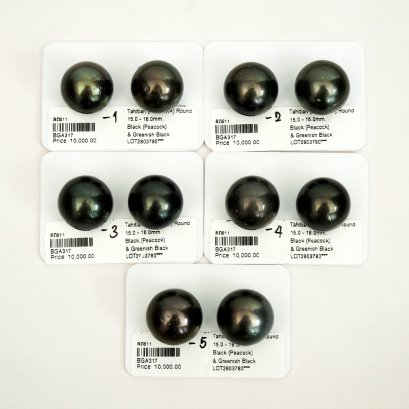 Approx. 15.0 - 16.0 mm, Tahitian Pearl, Pair Loose Pearls