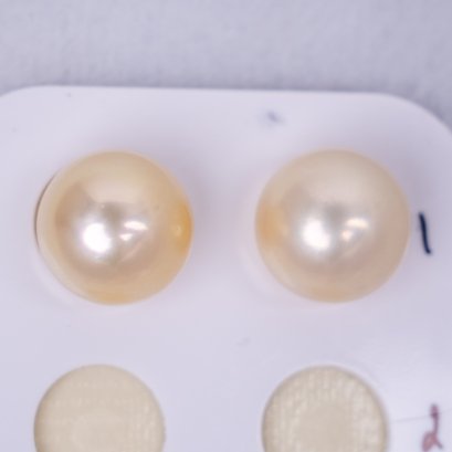 ไข่มุกจับคู่จำนวน 1 คู่ ไข่มุก South Sea Pearl สายพันธุ์น้ำเค็มคัดเกรด สีทอง Light Gold พร้อมตัวเรือนต่างหู / 6.9.65