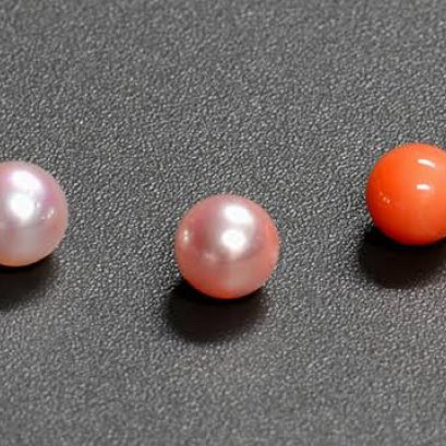 “Sango Pearl” ไข่มุก Akoya สีชมพู ที่มีแกนเป็นปะการัง