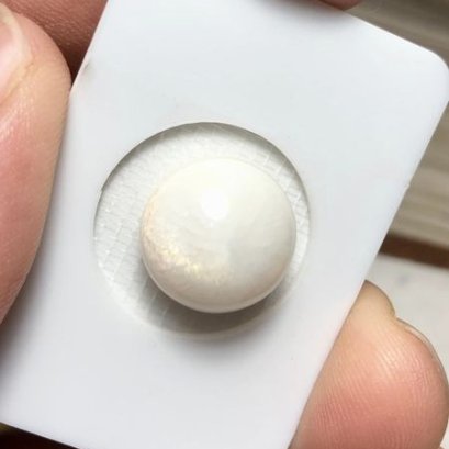 14.57x10.62 mm, Natural Clam Pearls, Loose Pearl