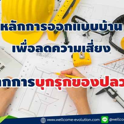 Design Principles That Help Reducing Termite Infestation Risk