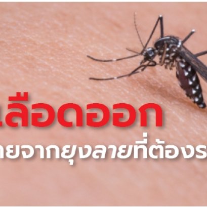 ไข้เลือดออก ภัยร้ายจากยุงลายที่ต้องระวัง!