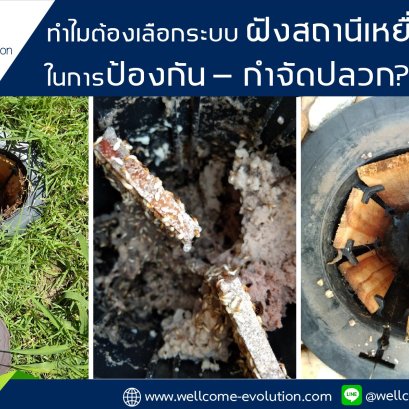 Why Choose Bait Station System?