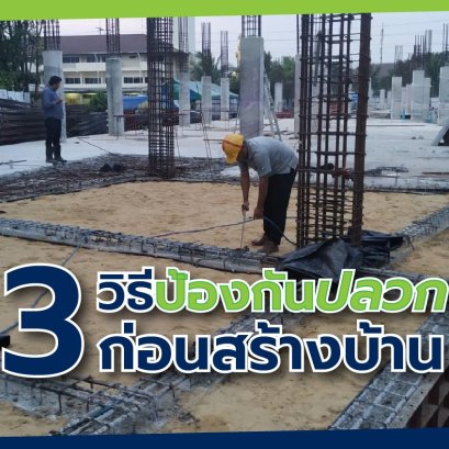 3 Measures for Termite Infestation Prevention - Before & During Construction