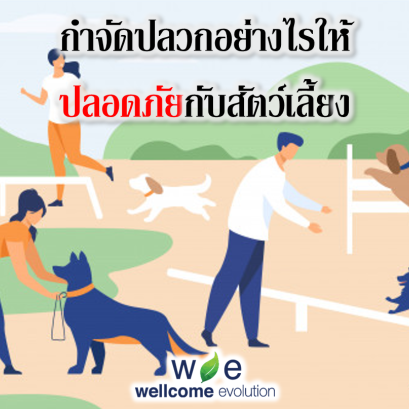 กำจัดปลวกอย่างไรให้ปลอดภัยกับสัตว์เลี้ยง