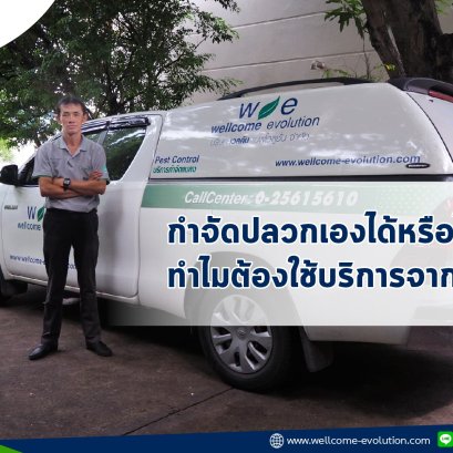 Why do I need professional exterminator? Can I get rid of the termite problems myself?