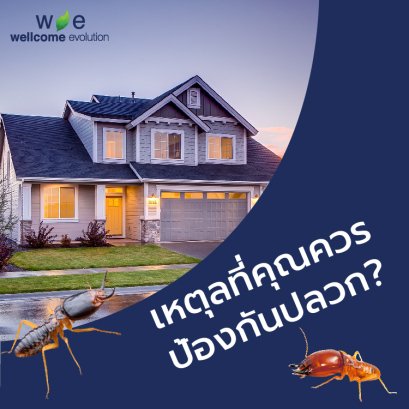 เหตุผลสำคัญที่คุณต้องป้องกันปลวก