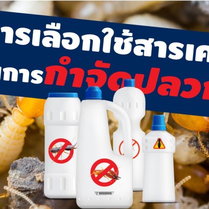 The selection of chemicals to eliminate termites.