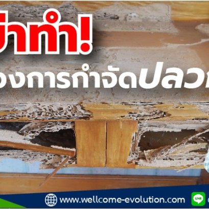 “อย่าทำ ถ้าต้องการกำจัดปลวก”