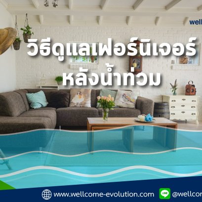 How To Take Care Of Furniture After The Flood