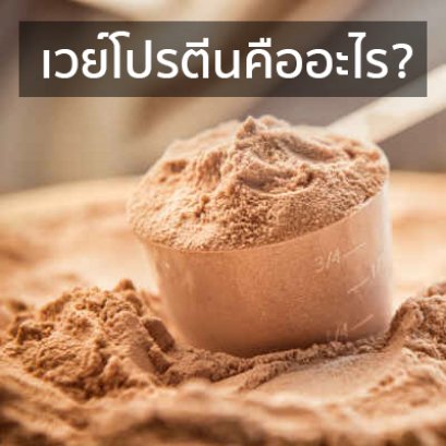 รู้จัก ′เวย์โปรตีน′ สร้างกล้ามเนื้อร่างกาย
