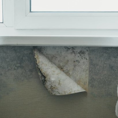 เชื้อราที่เกิดจากความชื้นสามารถขึ้นวอลเปเปอร์ได้