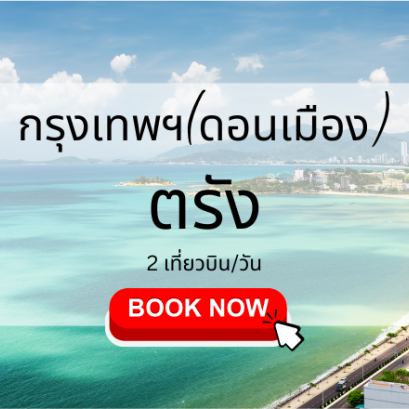 เที่ยวบิน (ดอนเมือง ตรัง)