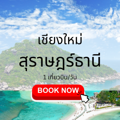 เที่ยวบิน (เชียงใหม่ สุราษฎร์ธานี)